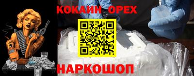 гашик Камышлов