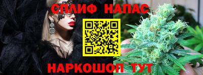 трава Кандалакша