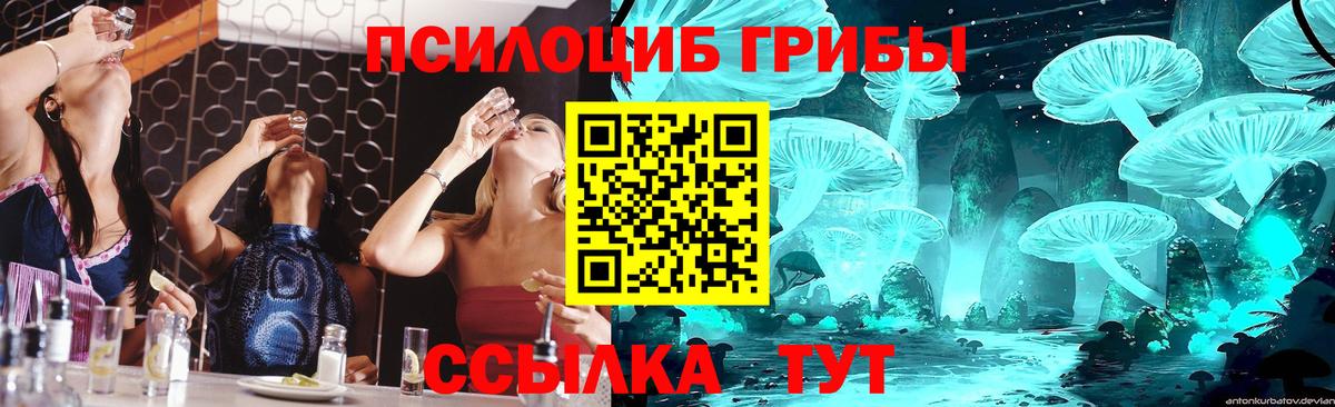 Кировск  закладки  Псилоцибиновые грибы Psilocybine cubensis  Вход с VPN  Галлюциногенные грибы Cubensis 